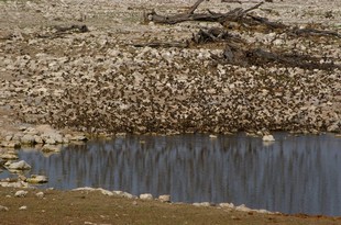673 Namibia Okt 2006 .JPG
